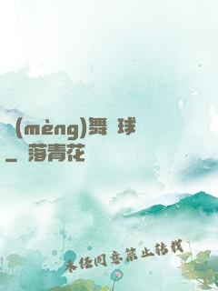 夢(mèng)舞籃球