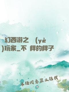 夢幻西游之職業(yè)玩家