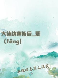 大佬快穿以后
