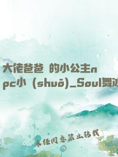 大佬爸爸們的小公主npc小說(shuō)