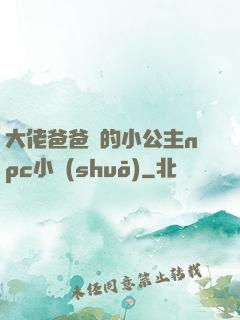 大佬爸爸們的小公主npc小說(shuō)