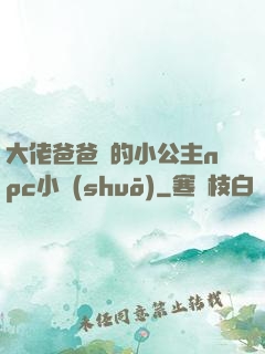 大佬爸爸們的小公主npc小說(shuō)