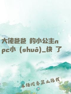 大佬爸爸們的小公主npc小說(shuō)