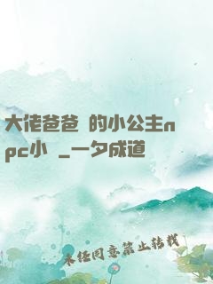大佬爸爸們的小公主npc小說