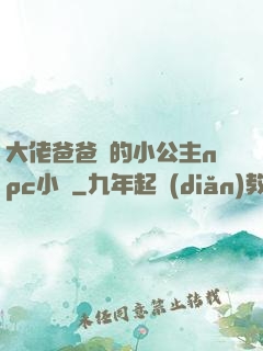 大佬爸爸們的小公主npc小說