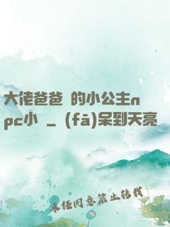 大佬爸爸們的小公主npc小說