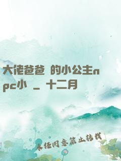 大佬爸爸們的小公主npc小說