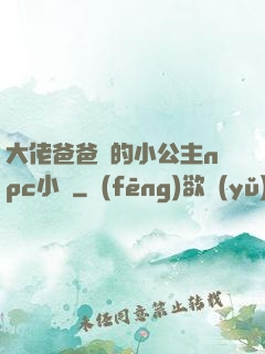 大佬爸爸們的小公主npc小說