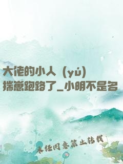 大佬的小人魚(yú)揣崽跑路了