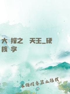 大偵探之娛樂天王