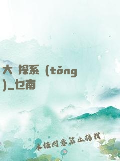 大偵探系統(tǒng)