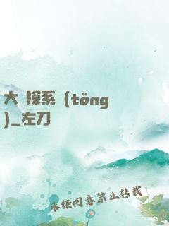 大偵探系統(tǒng)