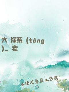 大偵探系統(tǒng)