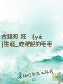 大叔的瘋狂職業(yè)生涯