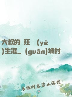 大叔的瘋狂職業(yè)生涯