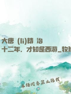 大唐勵(lì)精圖治十二年，才知是西游