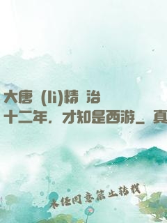 大唐勵(lì)精圖治十二年，才知是西游