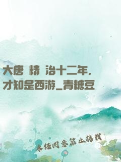 大唐勵精圖治十二年，才知是西游