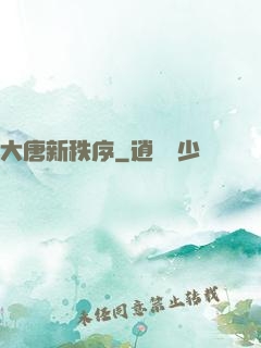 大唐新秩序