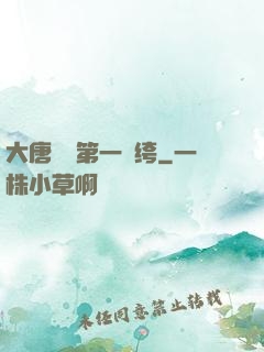 大唐貞觀第一紈绔