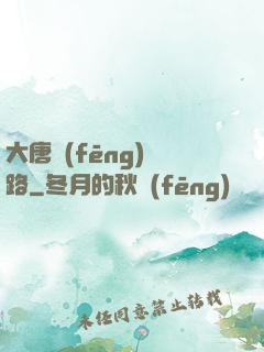 大唐風(fēng)華路