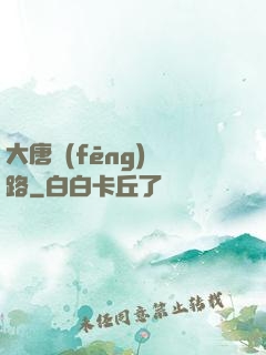 大唐風(fēng)華路