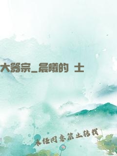 大器宗