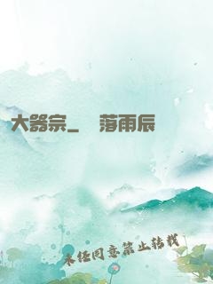 大器宗