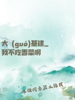 大國(guó)基建