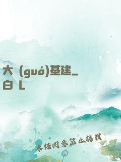 大國(guó)基建