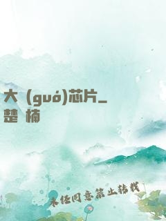 大國(guó)芯片