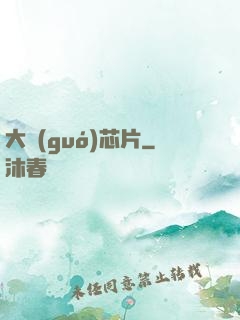 大國(guó)芯片