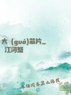 大國(guó)芯片