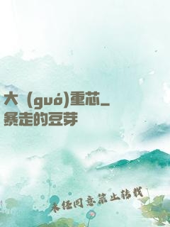 大國(guó)重芯