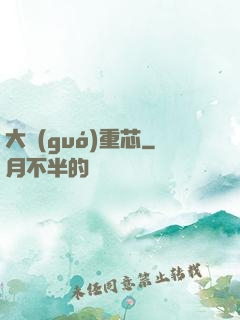 大國(guó)重芯