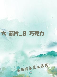 大國芯片