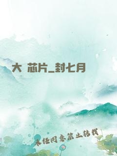 大國芯片