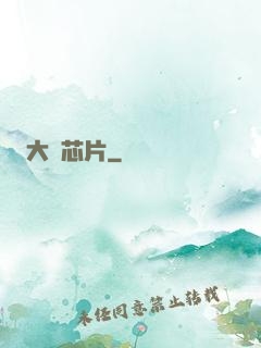 大國芯片