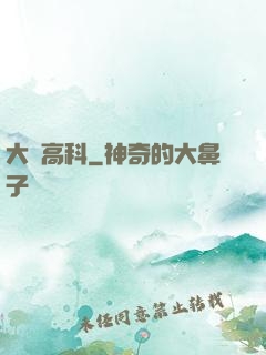 大國高科