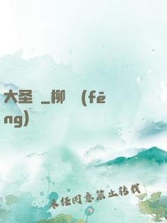 大圣傳