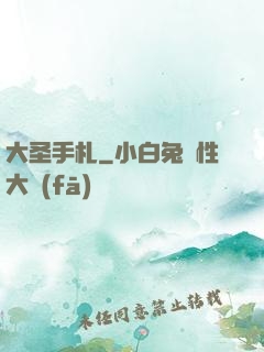 大圣手札