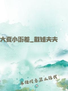 大夏小衙差