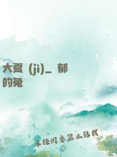 大夏紀(jì)
