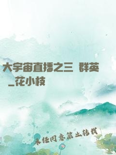 大宇宙直播之三國群英傳