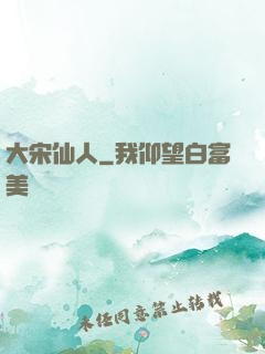 大宋仙人