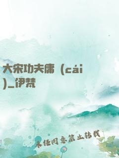 大宋功夫庸財(cái)