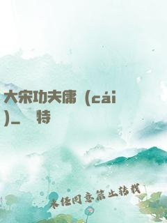 大宋功夫庸財(cái)