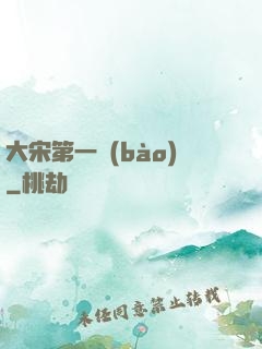 大宋第一報(bào)