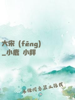 大宋風(fēng)華