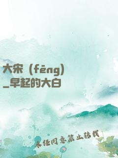 大宋風(fēng)華
